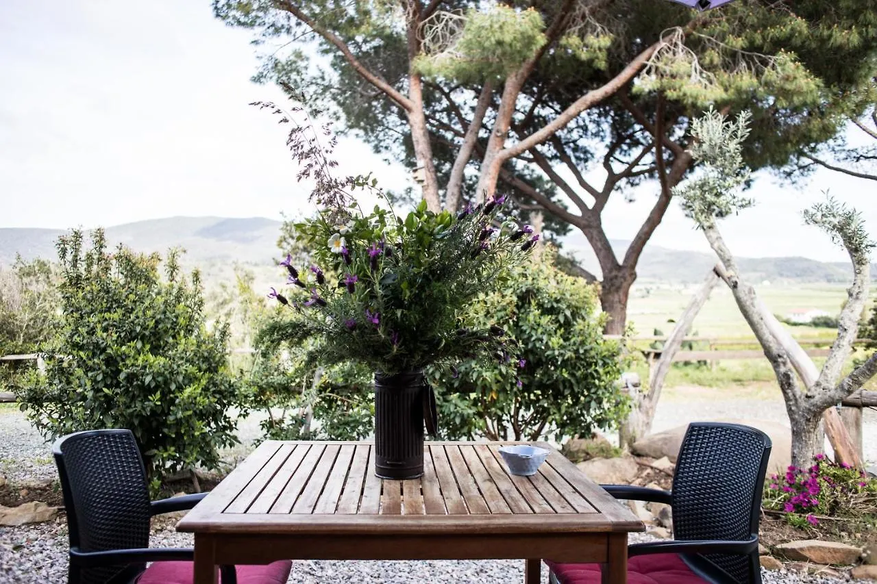 Tenuta Valdelmelo Castiglione della Pescaia Daire